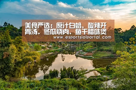 美食严选:原汁白蛤、酸辣开胃汤、冬瓜烧肉、鱼干腊味煲仔饭做法“全球总决赛官网”(图1) 世界赛官网